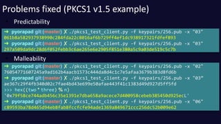 Problems fixed (PKCS1 v1.5 example) 
• Predictability 
➜ pyorapad git:(master) ✗ ./pkcs1_test_client.py -f keypairs/256.pu...