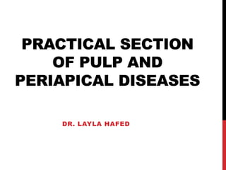 PRACTICAL SECTION
OF PULP AND
PERIAPICAL DISEASES
DR. LAYLA HAFED

 