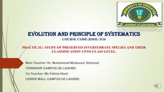 EVOLUTION AND PRINCIPLE OF SYSTEMATICS
COURSE CODE:ZOOL-3116
PRACTICAL: STUDY OF PRESERVED INVERTEBRATE SPECIES AND THEIR
CLASSIFICATION UPTO CLASS LEVEL.
Main Teacher: Dr. Muhammad Mudassar Shehzad
TOWNSHIP CAMPUS UE LAHORE.
Co-Teacher: Ms Fatima Nasir
LOWER MALL CAMPUS UE LAHORE.
 