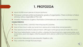 CLASSIFICATION OF PHYLUM PROTOZOA
 Phylum Protozoa is a large and varied group. This phylum has a number of
problems in i...