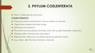 CLASSIFICATION OF PHYLUM
COELENTERATA
The phylum coelenterate is divided into three classes on the basis of development of...