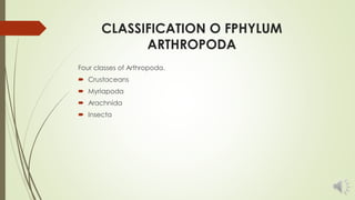 a. SPIDER (ARTHROPODA)
 
