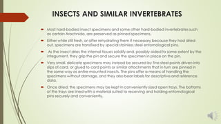 INSECTS AND SIMILAR INVERTEBRATES
 Most hard-bodied insect specimens and some other hard-bodied invertebrates such
as cer...