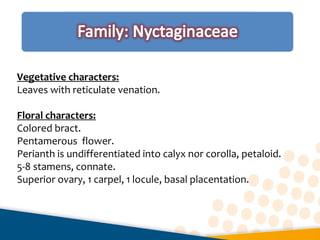 Vegetative characters:
Leaves with reticulate venation.
Floral characters:
Colored bract.
Pentamerous flower.
Perianth is undifferentiated into calyx nor corolla, petaloid.
5-8 stamens, connate.
Superior ovary, 1 carpel, 1 locule, basal placentation.
 