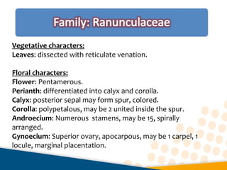Vegetative characters:
Leaves: dissected with reticulate venation.
Floral characters:
Flower: Pentamerous.
Perianth: differentiated into calyx and corolla.
Calyx: posterior sepal may form spur, colored.
Corolla: polypetalous, may be 2 united inside the spur.
Androecium: Numerous stamens, may be 15, spirally
arranged.
Gynoecium: Superior ovary, apocarpous, may be 1 carpel, 1
locule, marginal placentation.
 