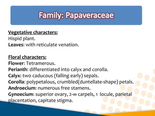 Vegetative characters:
Hispid plant.
Leaves: with reticulate venation.
Floral characters:
Flower: Tetramerous.
Perianth: differentiated into calyx and corolla.
Calyx: two caducous (falling early) sepals.
Corolla: polypetalous, crumbled(duntellate-shape) petals.
Androecium: numerous free stamens.
Gynoecium: superior ovary, 2-∞ carpels, 1 locule, parietal
placentation, capitate stigma.
 