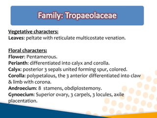 Vegetative characters:
Leaves: peltate with reticulate multicostate venation.
Floral characters:
Flower: Pentamerous.
Perianth: differentiated into calyx and corolla.
Calyx: posterior 3 sepals united forming spur, colored.
Corolla: polypetalous, the 3 anterior differentiated into claw
& limb with corona.
Androecium: 8 stamens, obdiplostemony.
Gynoecium: Superior ovary, 3 carpels, 3 locules, axile
placentation.
 