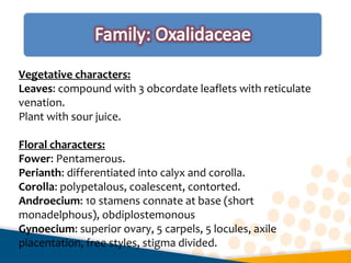 Vegetative characters:
Leaves: compound with 3 obcordate leaflets with reticulate
venation.
Plant with sour juice.
Floral characters:
Fower: Pentamerous.
Perianth: differentiated into calyx and corolla.
Corolla: polypetalous, coalescent, contorted.
Androecium: 10 stamens connate at base (short
monadelphous), obdiplostemonous
Gynoecium: superior ovary, 5 carpels, 5 locules, axile
placentation, free styles, stigma divided.
 