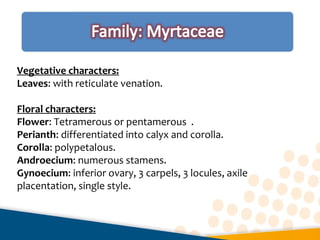 Vegetative characters:
Leaves: with reticulate venation.
Floral characters:
Flower: Tetramerous or pentamerous .
Perianth: differentiated into calyx and corolla.
Corolla: polypetalous.
Androecium: numerous stamens.
Gynoecium: inferior ovary, 3 carpels, 3 locules, axile
placentation, single style.
 