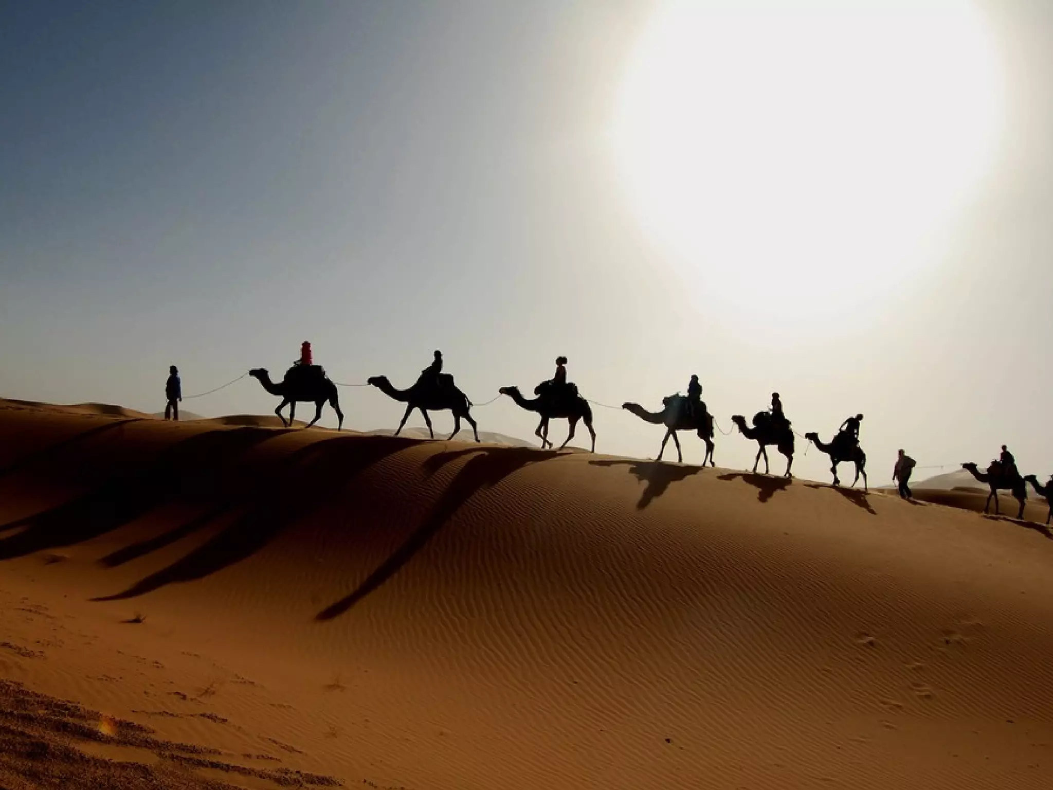 Joe McVeigh www.joemcveigh.org
 