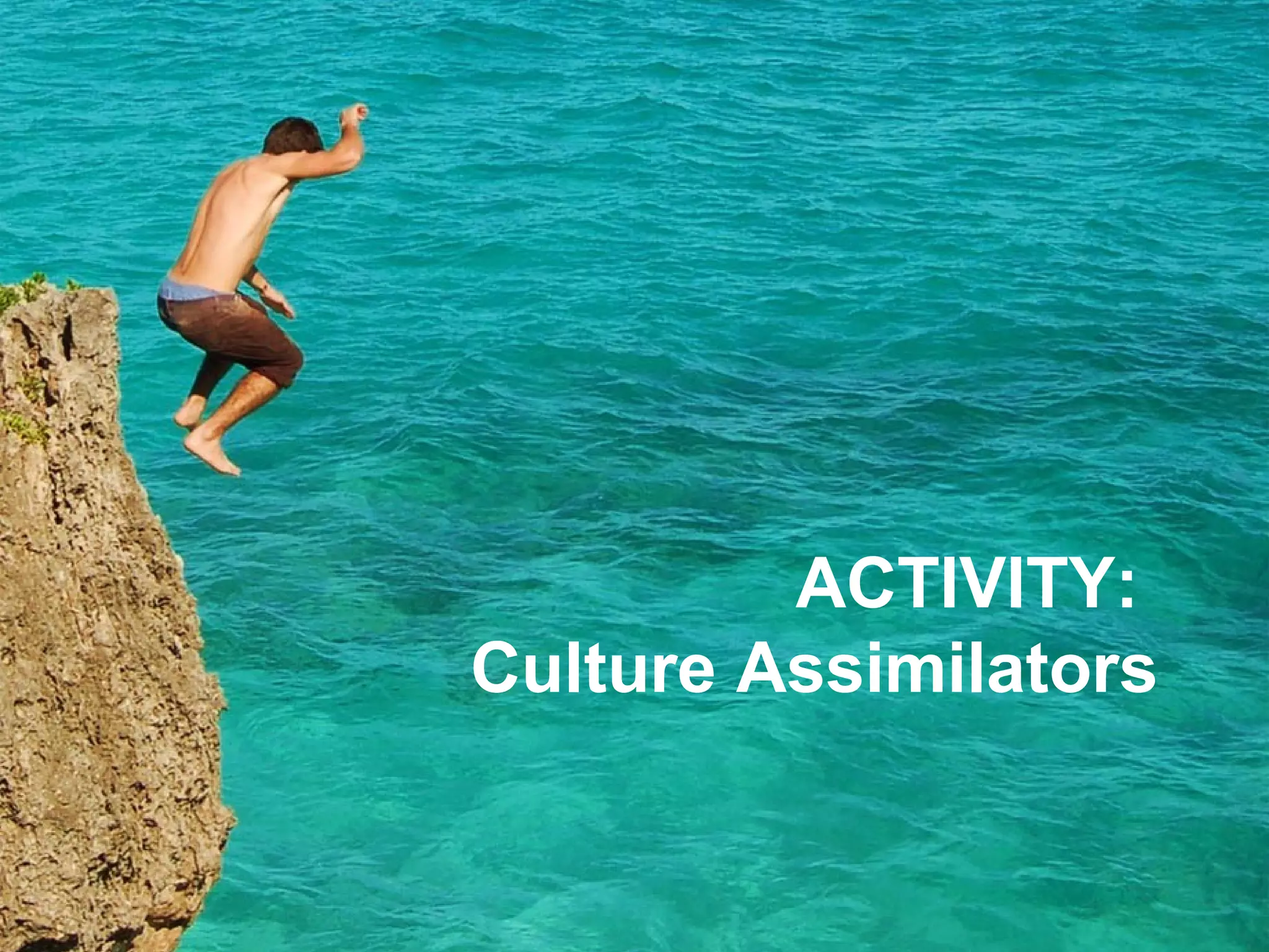 Joe McVeigh www.joemcveigh.org
ACTIVITY:
Culture Assimilators
 