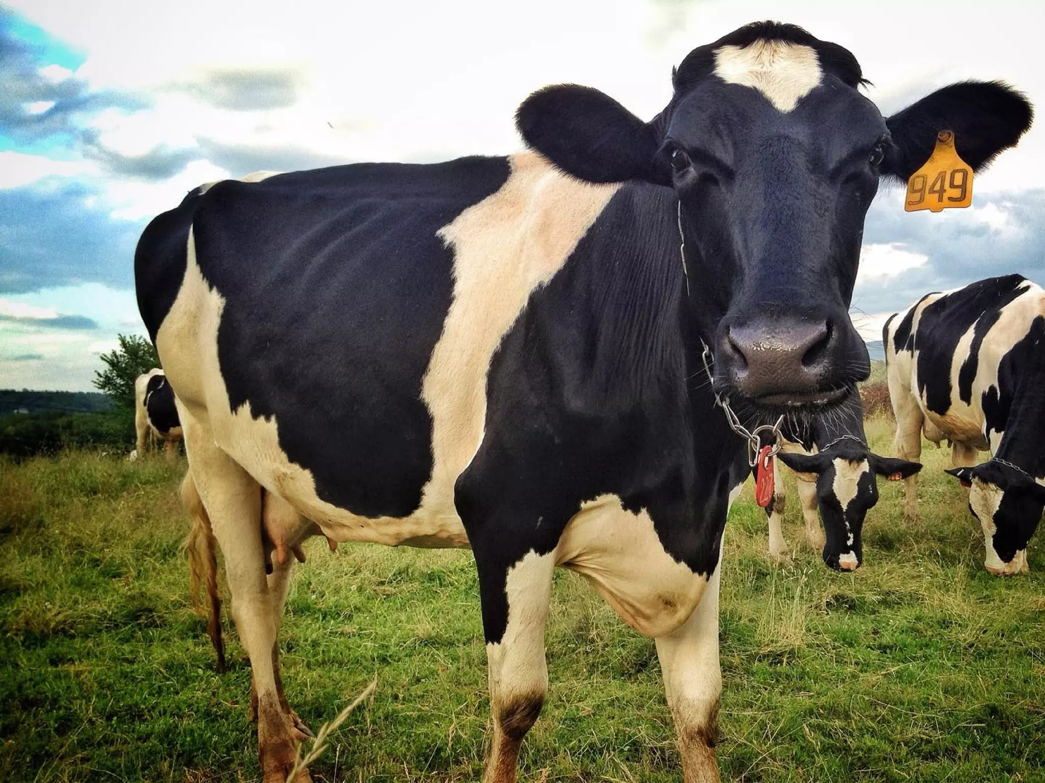 Joe McVeigh www.joemcveigh.org
 