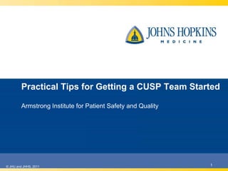 Practical Tips for Getting a CUSP Team Started
Armstrong Institute for Patient Safety and Quality
1© JHU and JHHS, 2011
 