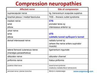 Compression neuropathies
Affected nerve Site of compression
suprascapular nerve lig. transversum scapulae superius
brachial plexus / medial fasciculus TOS – thoracic outlet syndrome
median nerve
wrist
elbow
CTS
pronator teres sy
interosseus anterior sy
ulnar nerve
wrist
elbow
UTS
cubitalis tunnel sy/Guyon’s tunnel
dorsal interosseal nerve radialis tunnel sy
(where the nerve enters supinator
muscle)
lateral femoral cutaneous nerve
(meralgia paraesthetica)
ligamentum inguinale
obturator nerve obturator channel
piriformis nerve hiatus piriformis
posterior tibial nerve tarsal tunnel syndrome
(malleolus medialis-flexor retinaculum)
peroneal nerve / plantar branches Morton’s metatarsalgia www.varganeuro.com
 