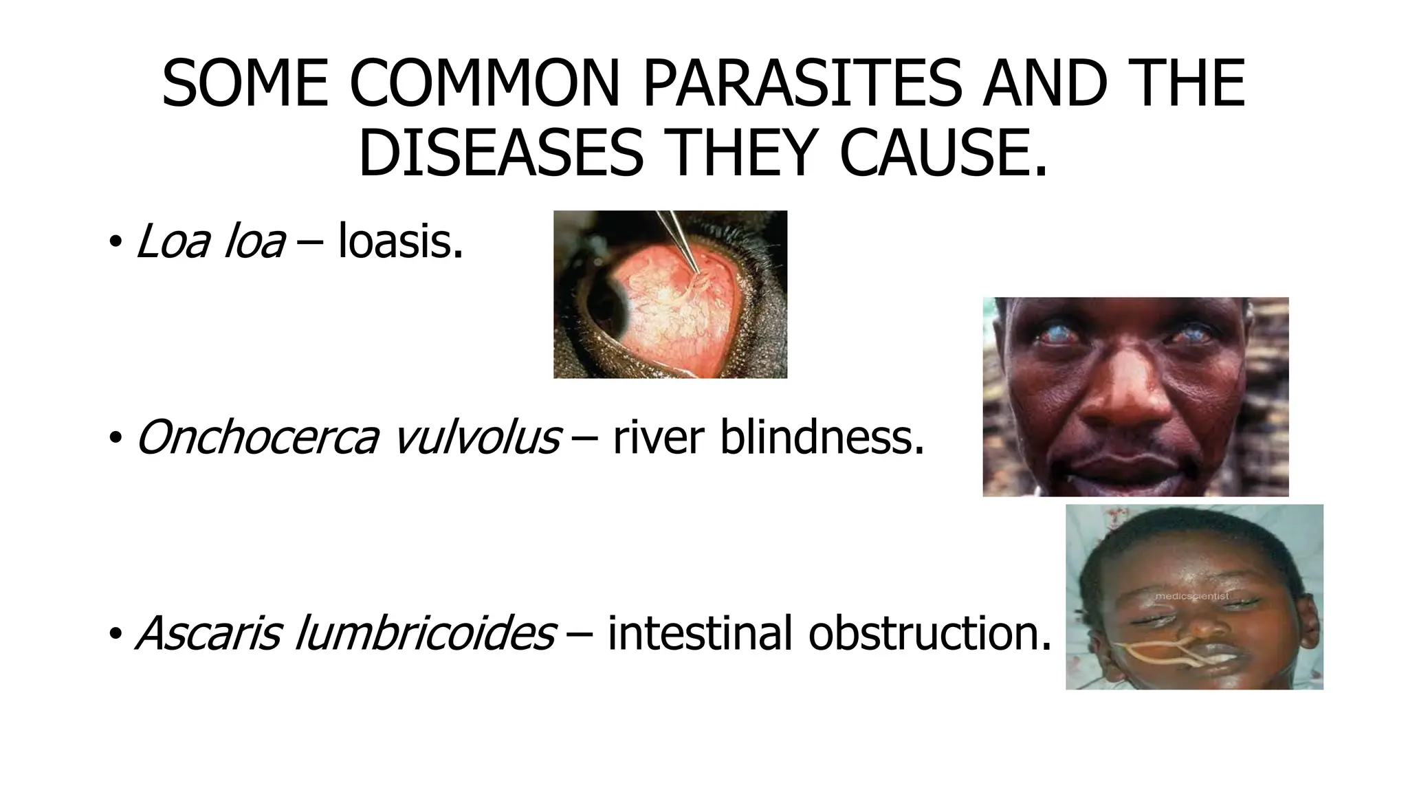 SOME COMMON PARASITES AND THE
DISEASES THEY CAUSE.
• Loa loa – loasis.
• Onchocerca vulvolus – river blindness.
• Ascaris lumbricoides – intestinal obstruction.
 