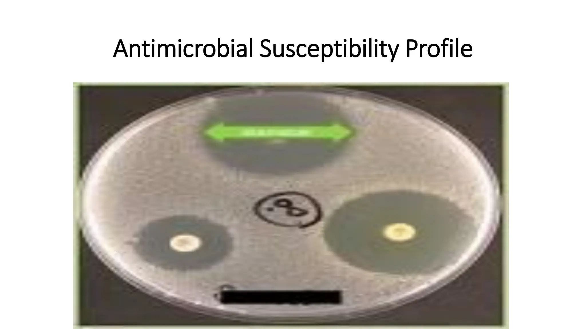 Antimicrobial Susceptibility Profile
 