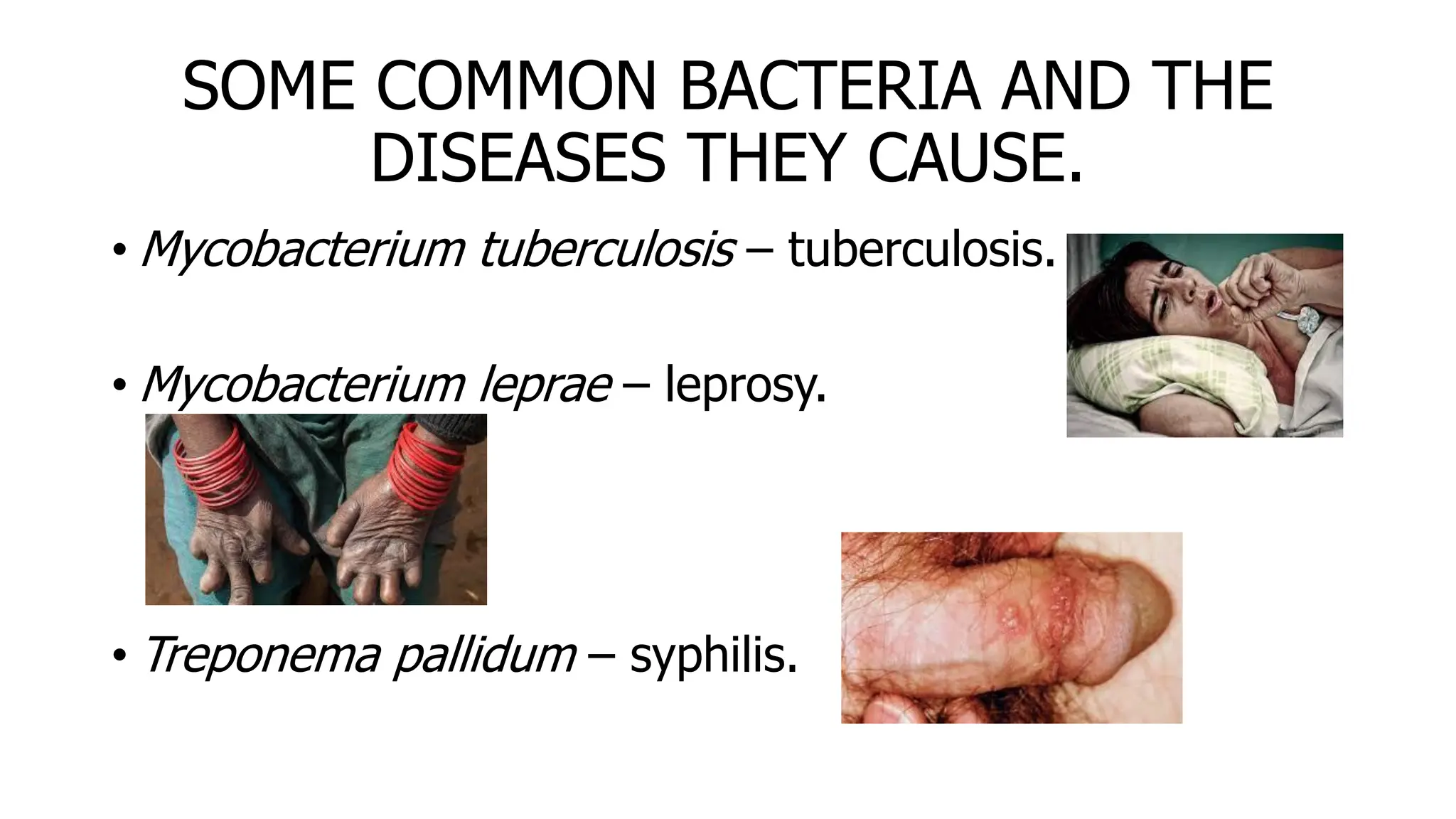 SOME COMMON BACTERIA AND THE
DISEASES THEY CAUSE.
• Mycobacterium tuberculosis – tuberculosis.
• Mycobacterium leprae – leprosy.
• Treponema pallidum – syphilis.
 