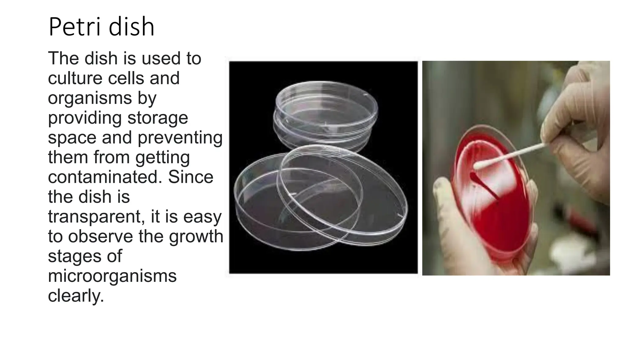 Petri dish
The dish is used to
culture cells and
organisms by
providing storage
space and preventing
them from getting
contaminated. Since
the dish is
transparent, it is easy
to observe the growth
stages of
microorganisms
clearly.
 