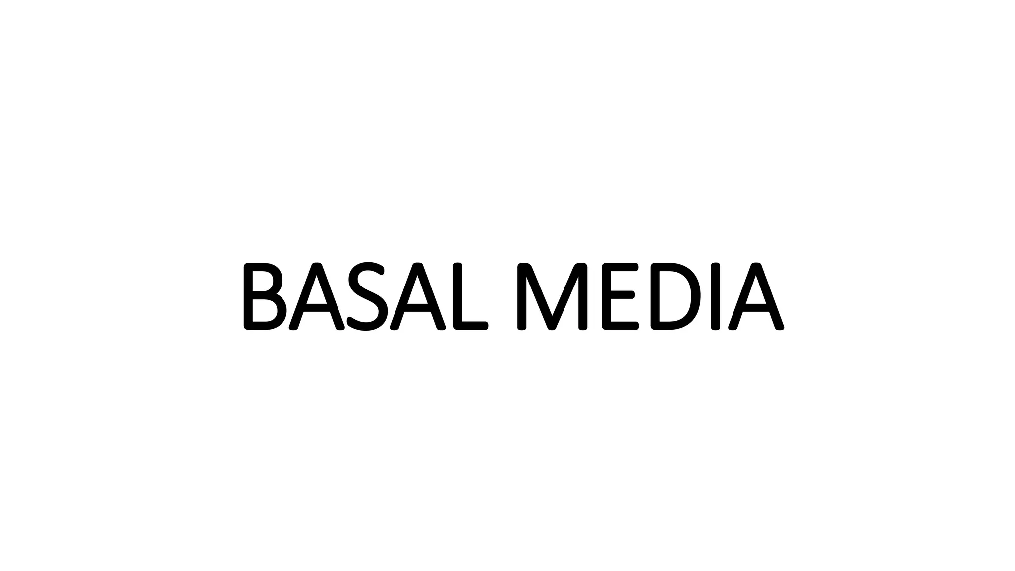 BASAL MEDIA
 