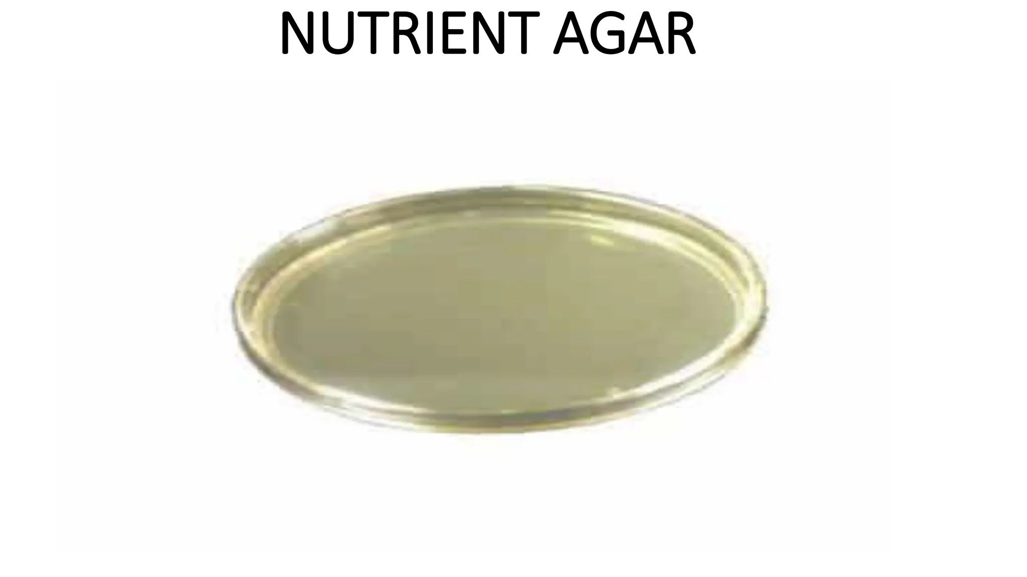 NUTRIENT AGAR
 