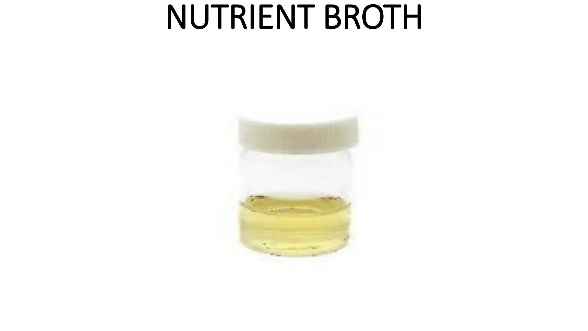 NUTRIENT BROTH
 