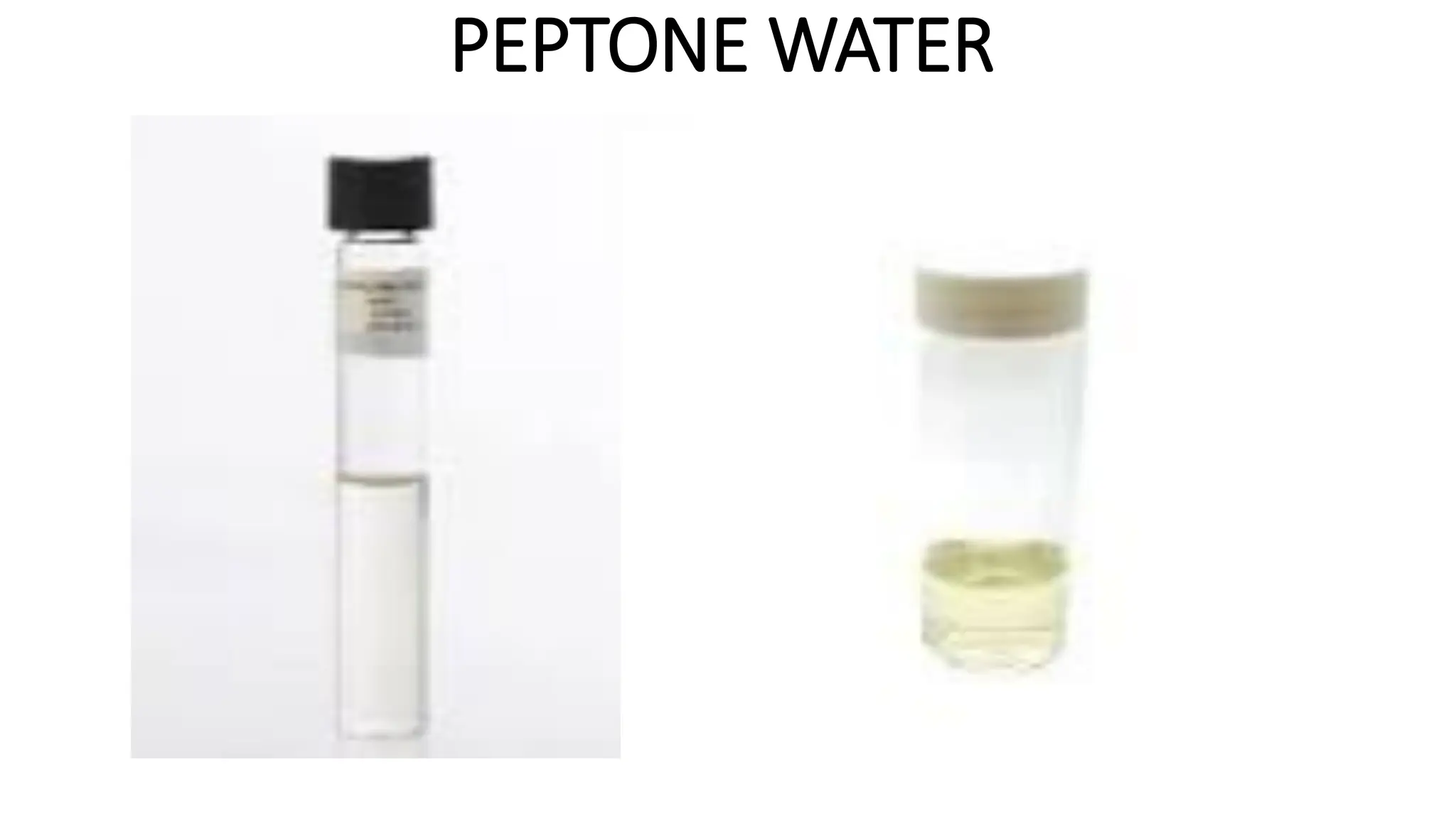 PEPTONE WATER
 