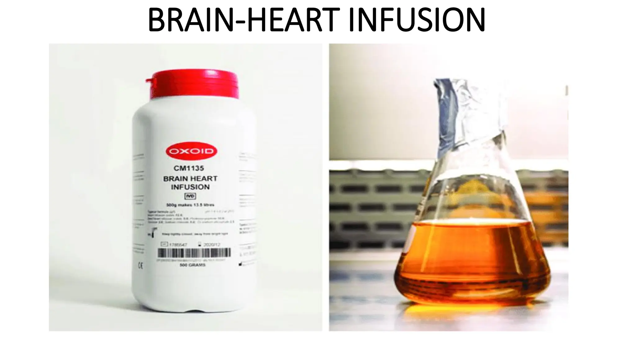 BRAIN-HEART INFUSION
 