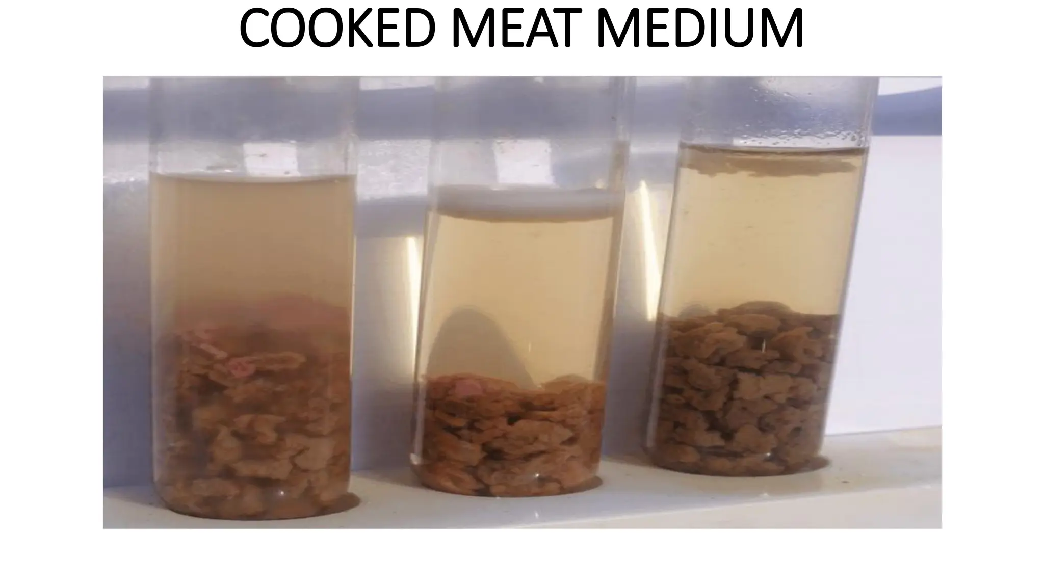 COOKED MEAT MEDIUM
 