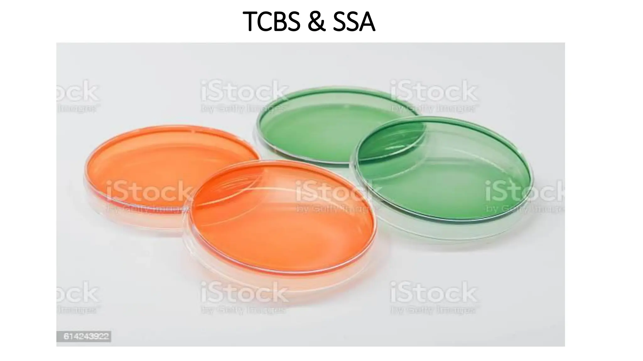 TCBS & SSA
 