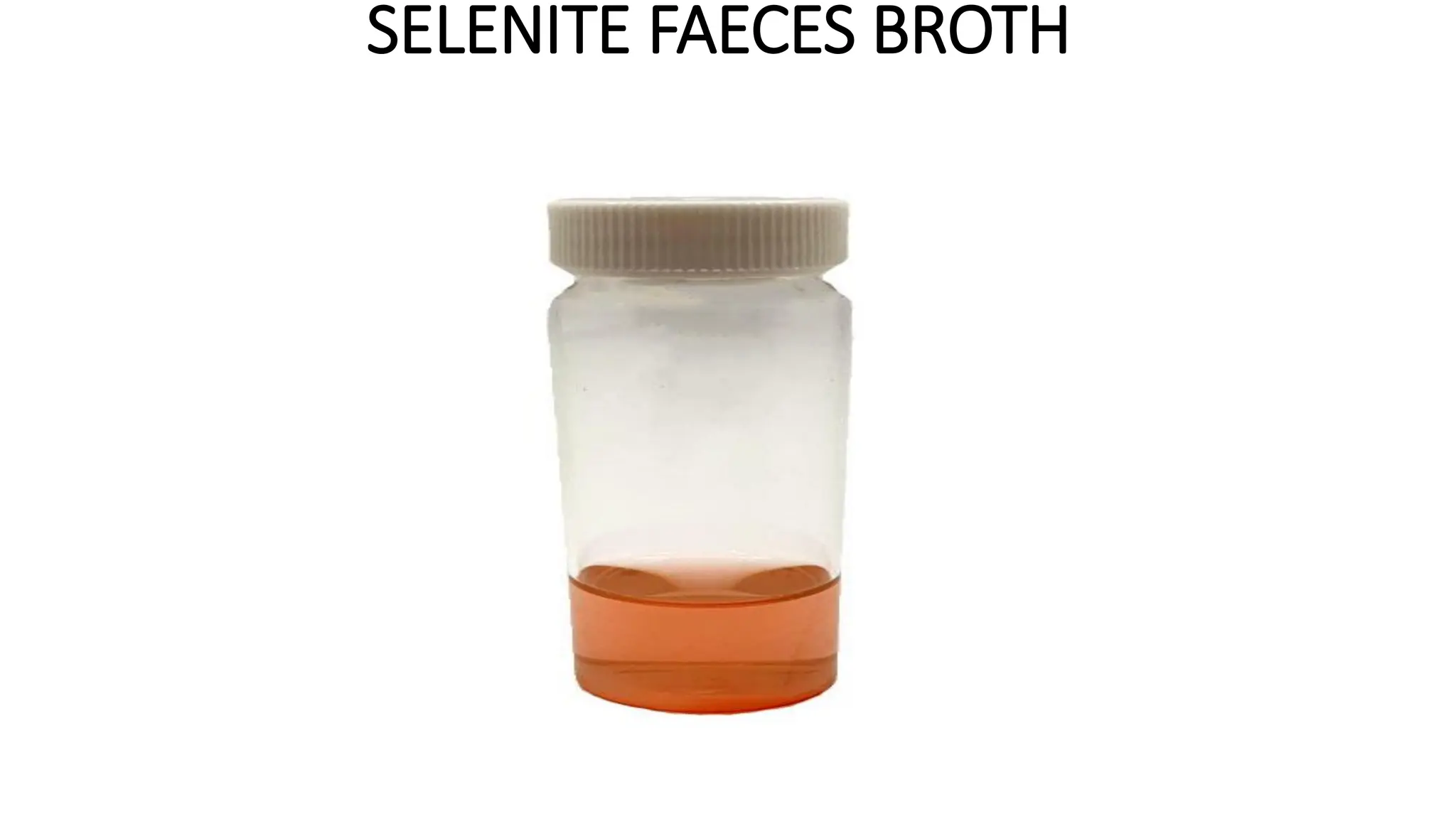 SELENITE FAECES BROTH
 