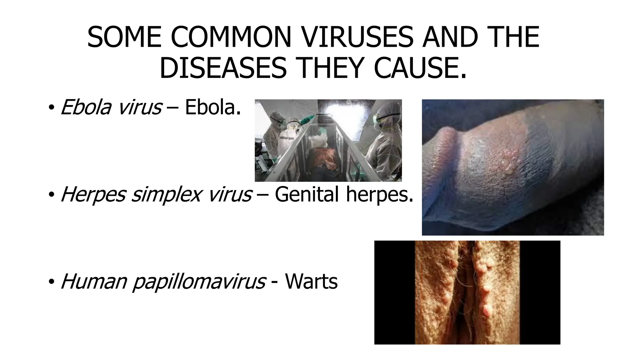 SOME COMMON VIRUSES AND THE
DISEASES THEY CAUSE.
• Ebola virus – Ebola.
• Herpes simplex virus – Genital herpes.
• Human papillomavirus - Warts
 
