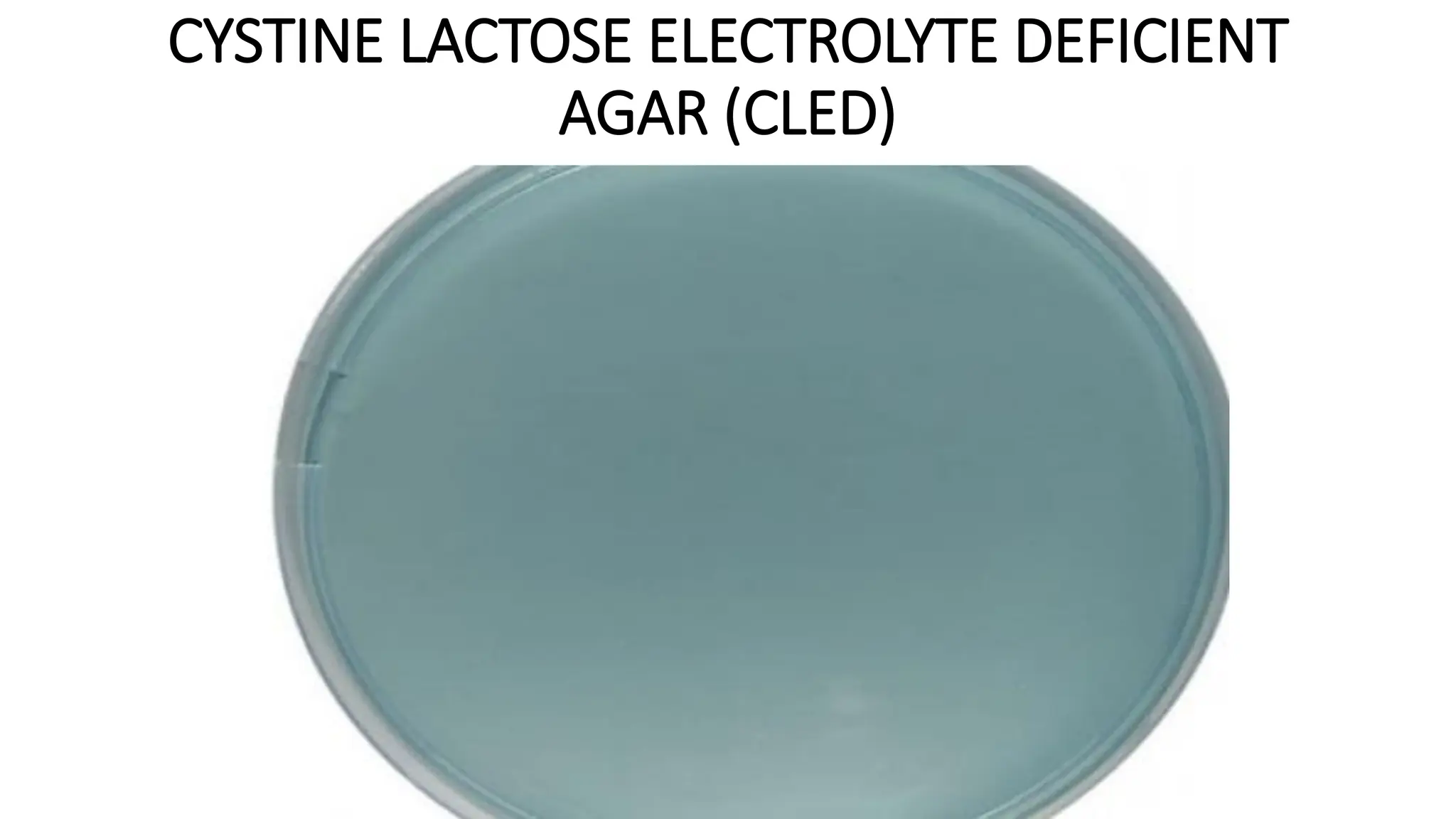 CYSTINE LACTOSE ELECTROLYTE DEFICIENT
AGAR (CLED)
 