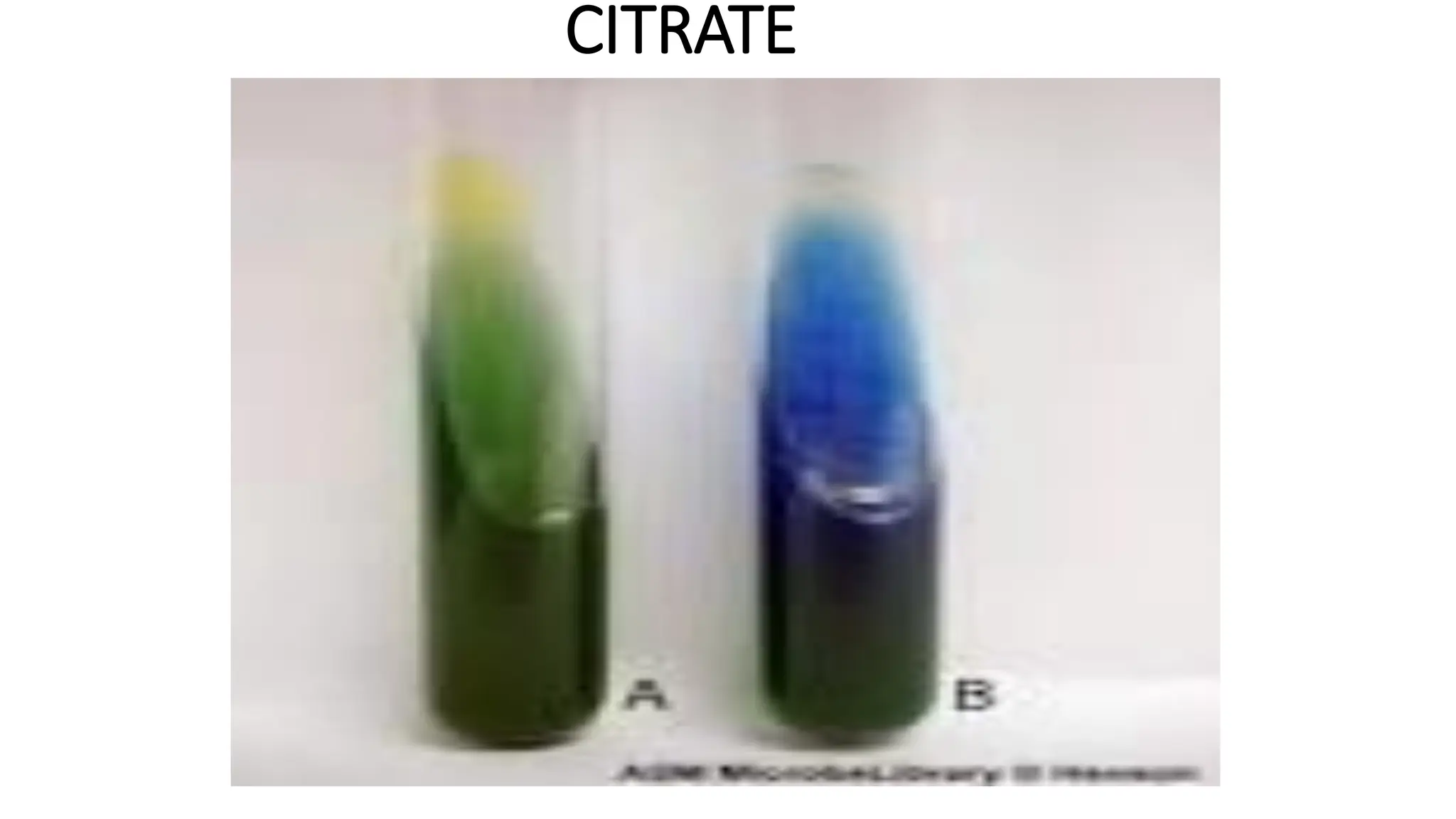 CITRATE
 