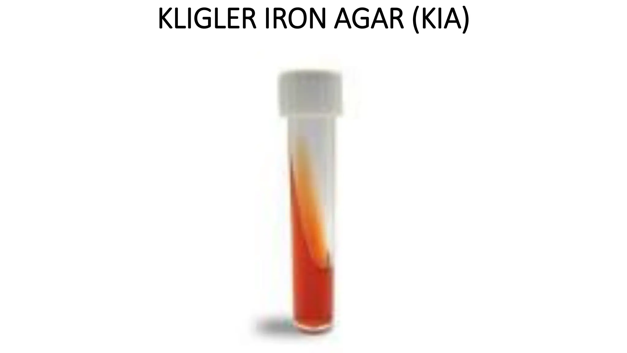 KLIGLER IRON AGAR (KIA)
 