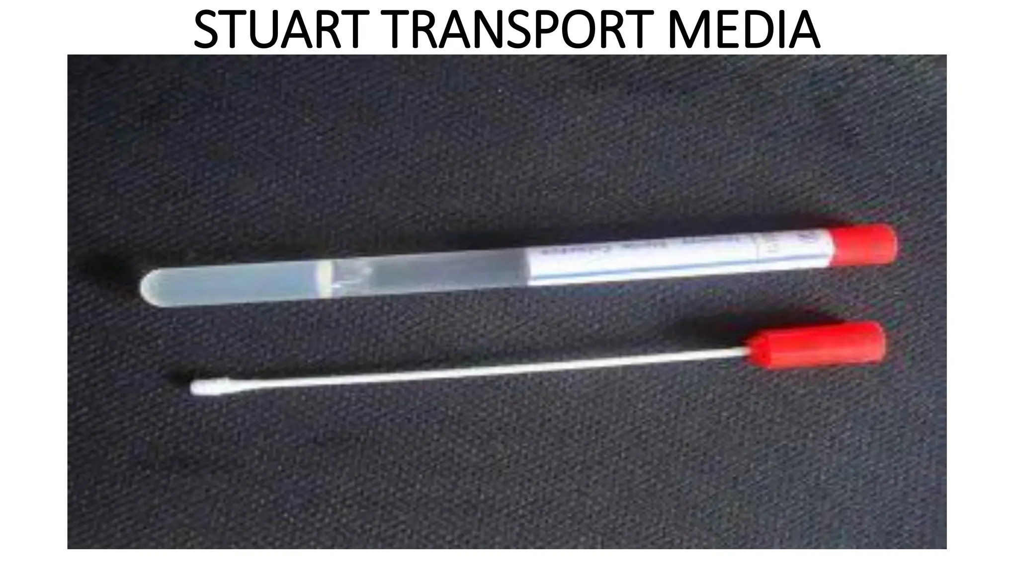 STUART TRANSPORT MEDIA
 