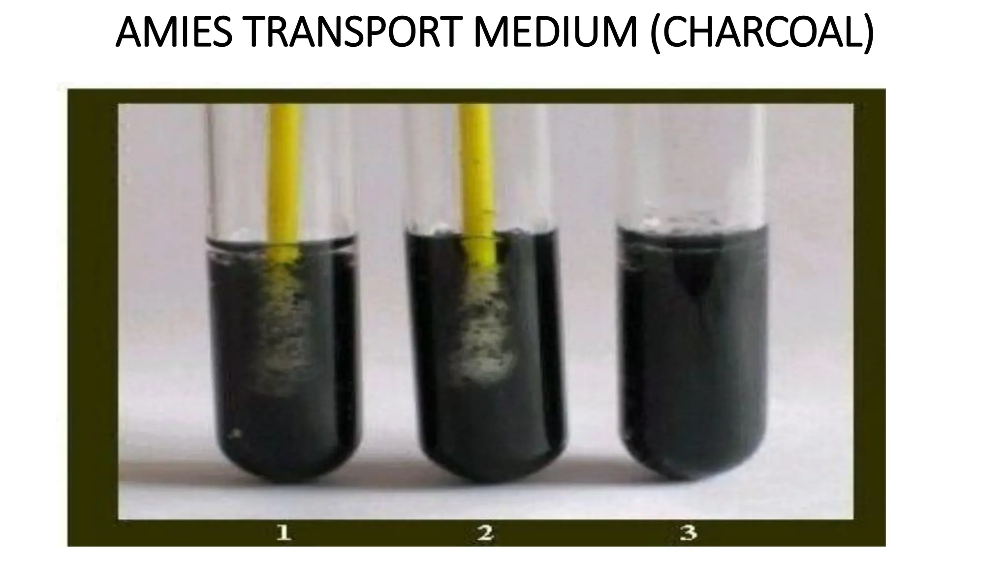 AMIES TRANSPORT MEDIUM (CHARCOAL)
 