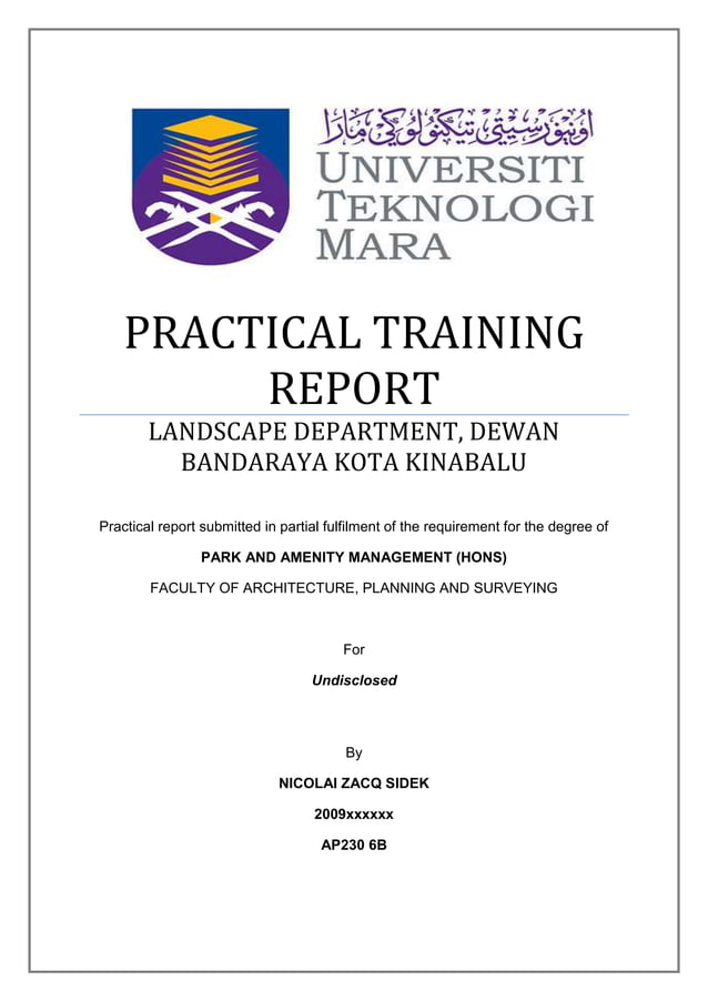 Practical training report | DOCX