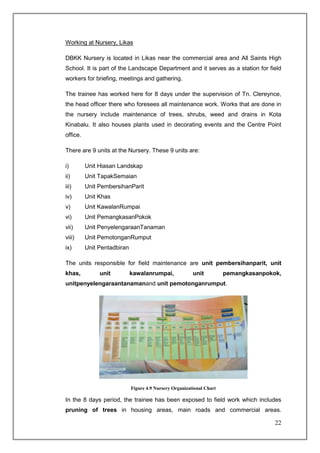 Working at Nursery, Likas

DBKK Nursery is located in Likas near the commercial area and All Saints High
School. It is part of the Landscape Department and it serves as a station for field
workers for briefing, meetings and gathering.

The trainee has worked here for 8 days under the supervision of Tn. Clereynce,
the head officer there who foresees all maintenance work. Works that are done in
the nursery include maintenance of trees, shrubs, weed and drains in Kota
Kinabalu. It also houses plants used in decorating events and the Centre Point
office.

There are 9 units at the Nursery. These 9 units are:

i)        Unit Hiasan Landskap
ii)       Unit TapakSemaian
iii)      Unit PembersihanParit
iv)       Unit Khas
v)        Unit KawalanRumpai
vi)       Unit PemangkasanPokok
vii)      Unit PenyelengaraanTanaman
viii)     Unit PemotonganRumput
ix)       Unit Pentadbiran

The units responsible for field maintenance are unit pembersihanparit, unit
khas,          unit          kawalanrumpai,              unit          pemangkasanpokok,
unitpenyelengaraantanamanand unit pemotonganrumput.




                             Figure 4.9 Nursery Organizational Chart

In the 8 days period, the trainee has been exposed to field work which includes
pruning of trees in housing areas, main roads and commercial areas.

                                                                                      22
 