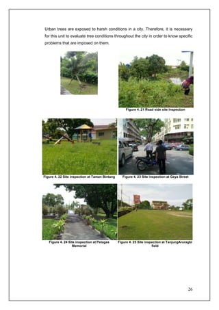 Urban trees are exposed to harsh conditions in a city. Therefore, it is necessary
for this unit to evaluate tree conditions throughout the city in order to know specific
problems that are imposed on them.




           Figure 4. 20 Fallen tree




                                                     Figure 4. 21 Road side site inspection




Figure 4. 22 Site inspection at Taman Bintang     Figure 4. 23 Site inspection at Gaya Street




   Figure 4. 24 Site inspection at Petagas      Figure 4. 25 Site inspection at TanjungAruragbi
                  Memorial                                            field




                                                                                              26
 