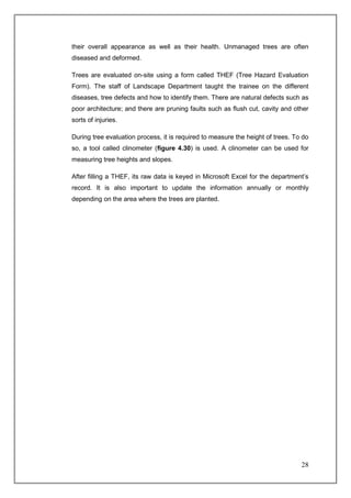 their overall appearance as well as their health. Unmanaged trees are often
diseased and deformed.

Trees are evaluated on-site using a form called THEF (Tree Hazard Evaluation
Form). The staff of Landscape Department taught the trainee on the different
diseases, tree defects and how to identify them. There are natural defects such as
poor architecture; and there are pruning faults such as flush cut, cavity and other
sorts of injuries.

During tree evaluation process, it is required to measure the height of trees. To do
so, a tool called clinometer (figure 4.30) is used. A clinometer can be used for
measuring tree heights and slopes.

After filling a THEF, its raw data is keyed in Microsoft Excel for the department’s
record. It is also important to update the information annually or monthly
depending on the area where the trees are planted.




                                                                                 28
 
