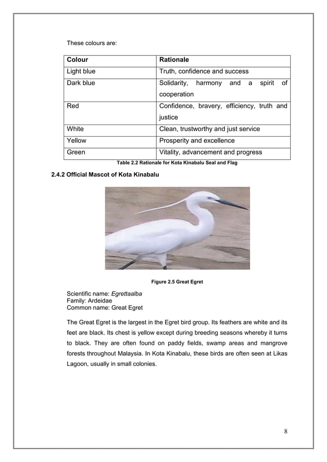 Practical training report | DOCX