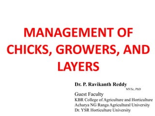 MANAGEMENT OF
CHICKS, GROWERS, AND
LAYERS
Dr. P. Ravikanth Reddy
MVSc, PhD
Guest Faculty
KBR College of Agriculture and Horticulture
Acharya NG Ranga Agricultural University
Dr. YSR Horticulture University
 