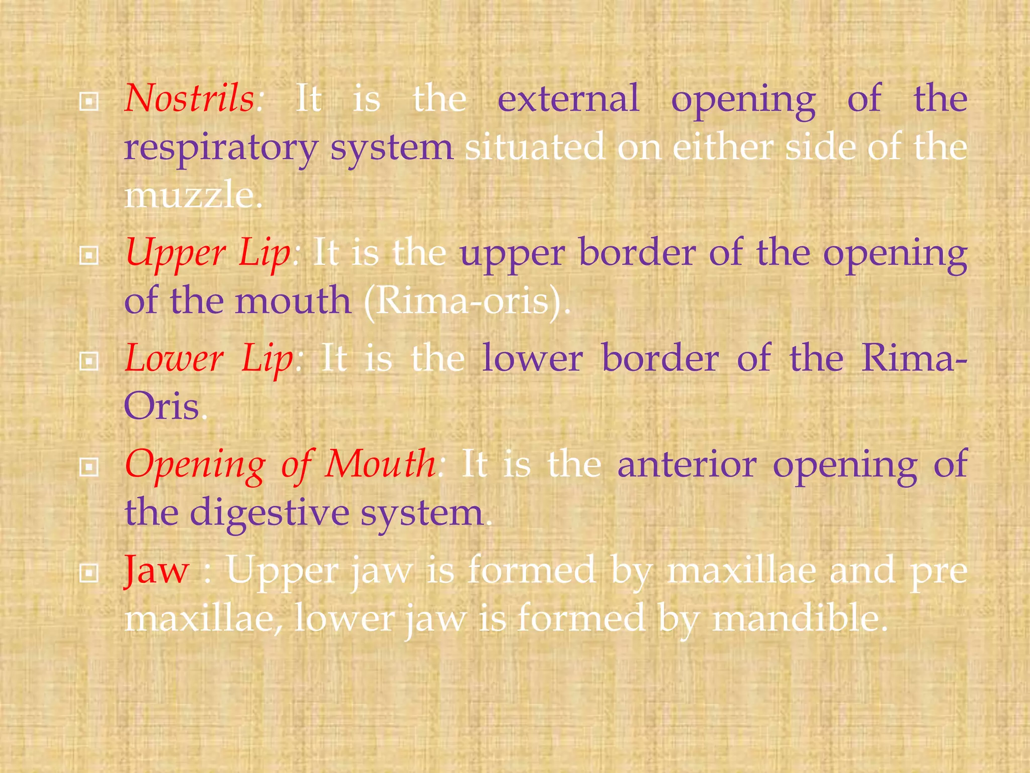 Practical Unit 1 Familiarization of body parts of different domestic ...
