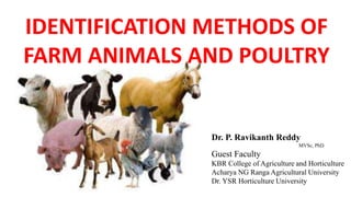 IDENTIFICATION METHODS OF
FARM ANIMALS AND POULTRY
Dr. P. Ravikanth Reddy
MVSc, PhD
Guest Faculty
KBR College of Agriculture and Horticulture
Acharya NG Ranga Agricultural University
Dr. YSR Horticulture University
 