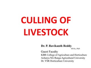 CULLING OF
LIVESTOCK
Dr. P. Ravikanth Reddy
MVSc, PhD
Guest Faculty
KBR College of Agriculture and Horticulture
Acharya NG Ranga Agricultural University
Dr. YSR Horticulture University
 