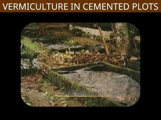 PRACTICAL VERMI-CULTURE and FARMING.pptx