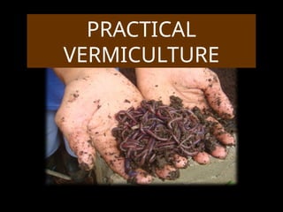 Vermiculture Pdf PRACTICAL VERMI-CULTURE and FARMING.pptx