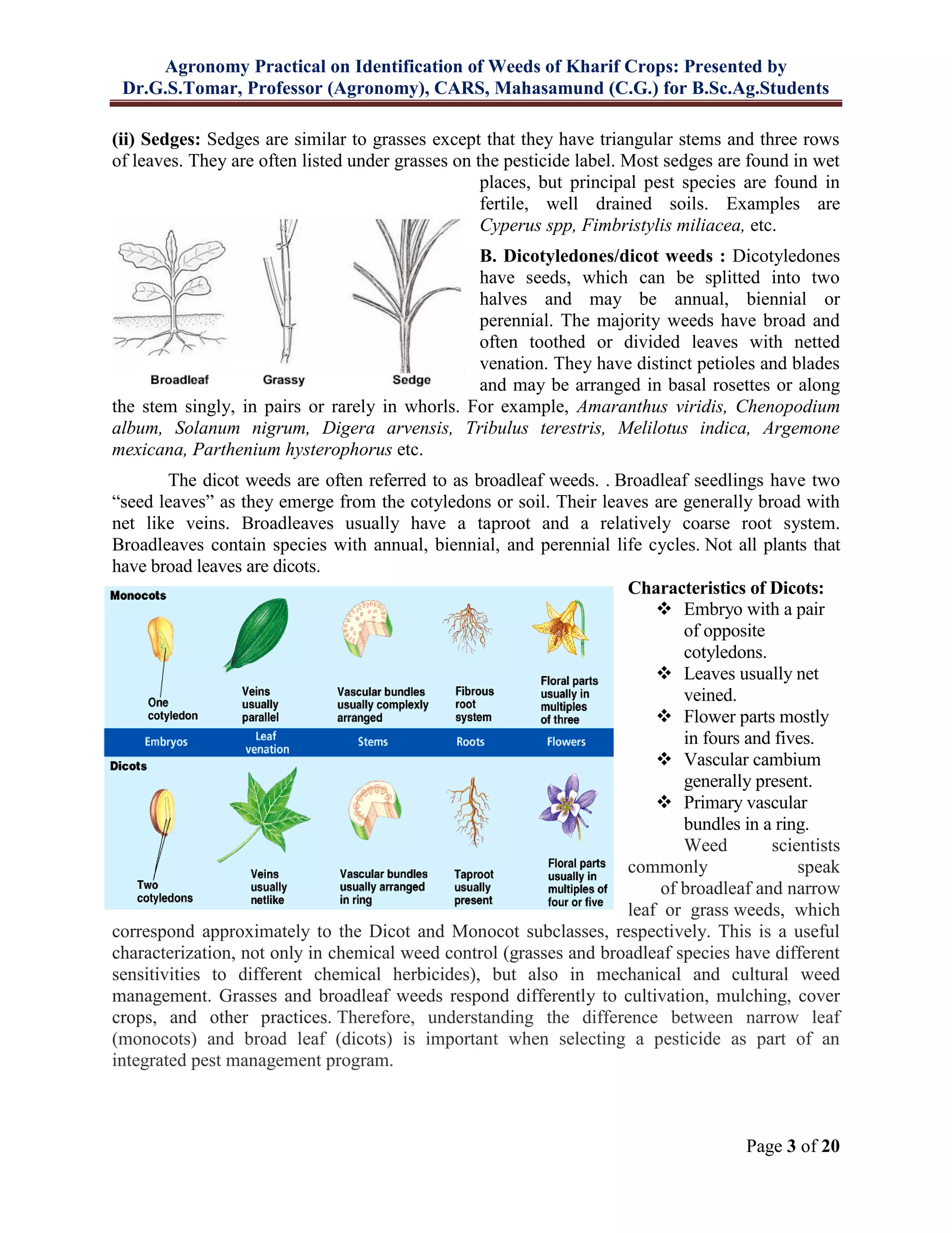 Agronomy Practical on Identification of Weeds of Kharif Crops: Presented by
Dr.G.S.Tomar, Professor (Agronomy), CARS, Mahasamund (C.G.) for B.Sc.Ag.Students
Page 3 of 20
(ii) Sedges: Sedges are similar to grasses except that they have triangular stems and three rows
of leaves. They are often listed under grasses on the pesticide label. Most sedges are found in wet
places, but principal pest species are found in
fertile, well drained soils. Examples are
Cyperus spp, Fimbristylis miliacea, etc.
B. Dicotyledones/dicot weeds : Dicotyledones
have seeds, which can be splitted into two
halves and may be annual, biennial or
perennial. The majority weeds have broad and
often toothed or divided leaves with netted
venation. They have distinct petioles and blades
and may be arranged in basal rosettes or along
the stem singly, in pairs or rarely in whorls. For example, Amaranthus viridis, Chenopodium
album, Solanum nigrum, Digera arvensis, Tribulus terestris, Melilotus indica, Argemone
mexicana, Parthenium hysterophorus etc.
The dicot weeds are often referred to as broadleaf weeds. . Broadleaf seedlings have two
“seed leaves” as they emerge from the cotyledons or soil. Their leaves are generally broad with
net like veins. Broadleaves usually have a taproot and a relatively coarse root system.
Broadleaves contain species with annual, biennial, and perennial life cycles. Not all plants that
have broad leaves are dicots.
Characteristics of Dicots:
 Embryo with a pair
of opposite
cotyledons.
 Leaves usually net
veined.
 Flower parts mostly
in fours and fives.
 Vascular cambium
generally present.
 Primary vascular
bundles in a ring.
Weed scientists
commonly speak
of broadleaf and narrow
leaf or grass weeds, which
correspond approximately to the Dicot and Monocot subclasses, respectively. This is a useful
characterization, not only in chemical weed control (grasses and broadleaf species have different
sensitivities to different chemical herbicides), but also in mechanical and cultural weed
management. Grasses and broadleaf weeds respond differently to cultivation, mulching, cover
crops, and other practices. Therefore, understanding the difference between narrow leaf
(monocots) and broad leaf (dicots) is important when selecting a pesticide as part of an
integrated pest management program.
 