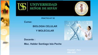 Curso:
BIOLOGIA CELULAR
Y MOLECULAR
Docente :
Msc. Halder Santiago Isla Peche
Pimentel – Perú
AÑO 2023
PRACTICA N° 02
 