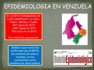 En el 2013 investigadores de
(LUZ) identificaron en Zulia,
Falcón, Mérida y Trujillo:
947 casos en 2010.
1.647 casos en 2011.
750 casos en el 2012.
Por ehrlichias paqueterías
Debido a que nunca fue
confirmado por el MPPS,
los números de casos y
muertes, no fue
considerado como
problema de salud publica.
EPIDEMIOLOGIA EN VENZUELA
 